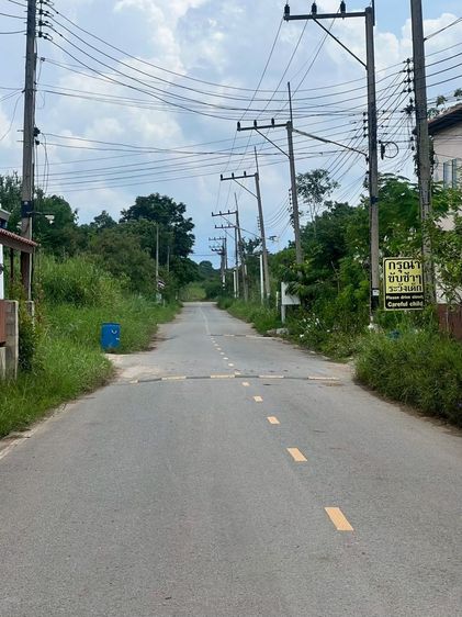 ที่วิวเขาใหญ่ โขนงพระ ปากช่อง ทำเลทอง รูปที่ 2