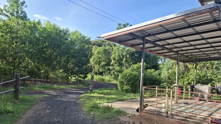 ตกแต่งครบ 2022 ไม่ใช่ บ้านสวนสองหลังพร้อมที่ดินสองไร่ รูปที่ 3