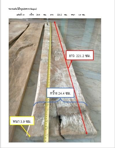 ไม้ขนุน7-8,15-16 รูปที่ 13