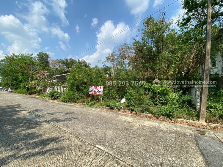 ขายที่ดิน หมู่บ้านเลคการ์เด้นวิลล์ คลอง3 ซ.รังสิต-นครนายก 68 ปทุมธานี พื้นที่ 130 ตร.ว. ด้านหลังติดเลค ใกล้โรงเรียนโชคชัยรังสิ รูปที่ 2