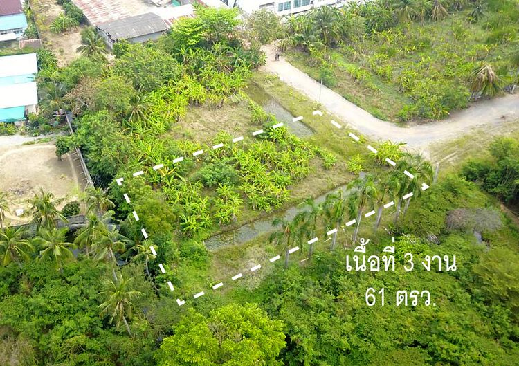 ขายที่ดินบนพุทธมณฑลสาย 1 ถ.บางเชือกหนัง ตรว.ละ 30000 บาท รูปที่ 3