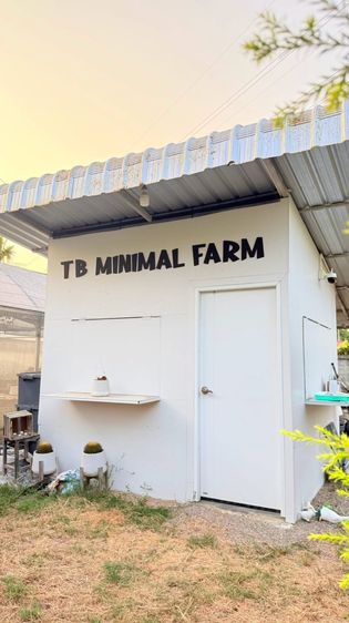 เซ้ง โรงเรือน คาเฟ่ พร้อมซุ้มร้านกาแฟ เพชรบุรี ใกล้ตลาด-หมู่บ้าน-วิทยาลัยสารพัดช่าง เพียง 80000 บ รูปที่ 3