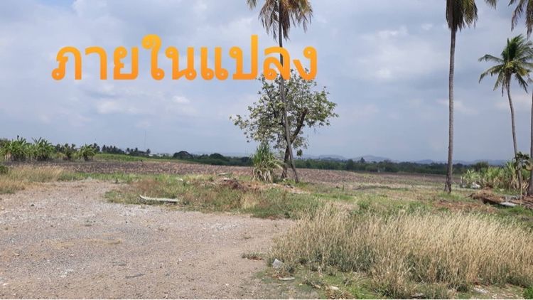 ขายที่ดิน 30 ล้าน (ไม่แบ่งขาย) รูปที่ 2
