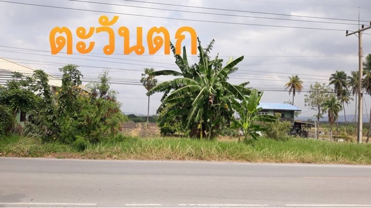 ขายที่ดิน 30 ล้าน (ไม่แบ่งขาย) รูปที่ 3