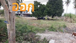 ขายที่ดิน 30 ล้าน (ไม่แบ่งขาย)