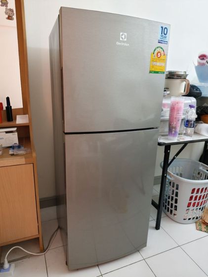ตู้เย็น 2 ประตู (มือสอง) ตู้เย็น Electrolux 2 ประตู 7.5 คิว