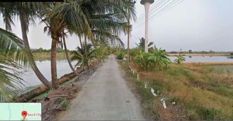 ไม่ใช่ ขายที่ดินลานตากฟ้า นครชัยศรี รูปที่ 3