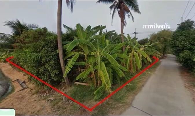 ไม่ใช่ ขายที่ดินลานตากฟ้า นครชัยศรี รูปที่ 4