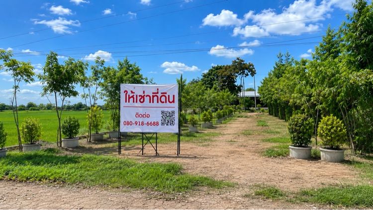 ใช่ ที่ดินให้เช่าในเขตเทศบาล รูปที่ 2