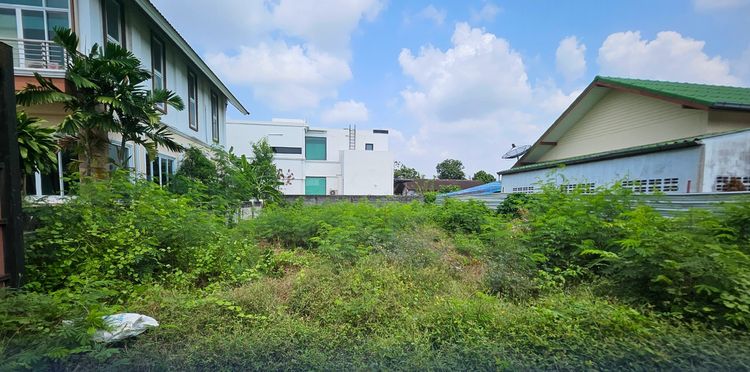 ขายที่ดิน สุขุมวิท 101 BTS ปุณณวิถี 159 ตร.วา น้ำไม่ท่วม ถนนกว้าง 8 เมตร รูปที่ 3