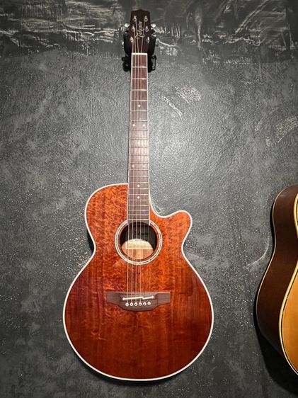 อื่นๆ กีต้าร์โปร่ง กีต้า Takamine PTU131KC N