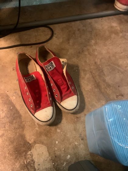 converse เบอร์8