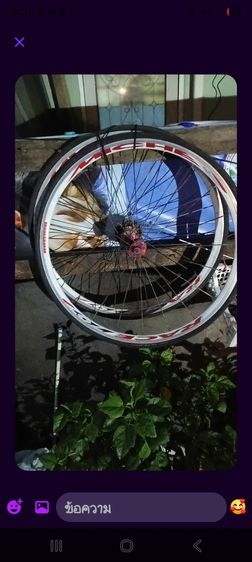 ล้อเสือหมอบ  made in italy