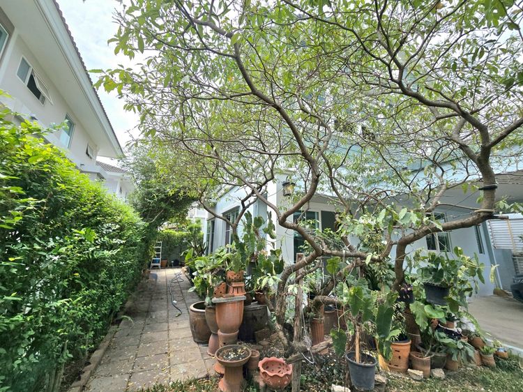 Land and Houses ขายบ้านเดี่ยว 2 ชั้น โครงการ Villaggio Pinklao–Salaya ทำเลดี ราคาพิเศษ รูปที่ 2