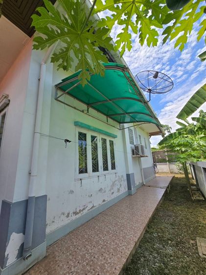 อื่นๆ มีบางส่วน ​ขายตามสภาพ บ้านพร้อมที่ดิน เดอะลากูน 3 สามโคก ราคาดี เหมาะรีโนเวท รูปที่ 4