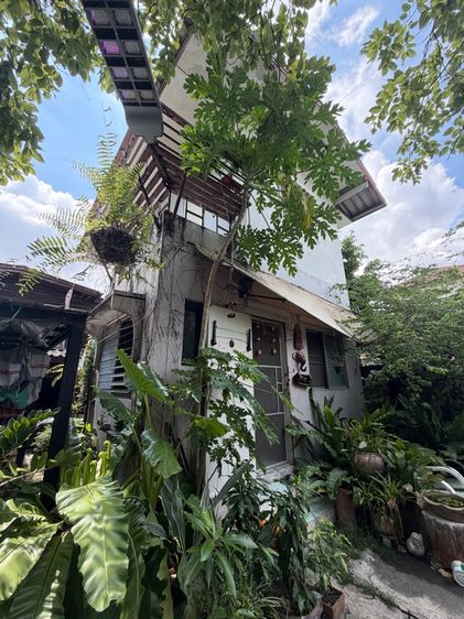 ขายที่ดินพร้อมบ้าน  รูปที่ 2