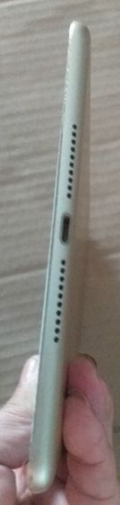 ipad mini4 รูปที่ 5