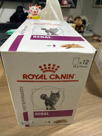 อาหารและขนมแมว อาหารแมว Royal Canin