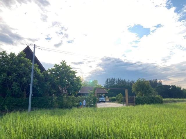 ใช่ ขายบ้านสวนติดน้ำโคราช รูปที่ 4