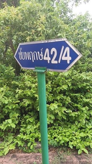 ที่ดินจัดสรรในหมู่บ้านชัยพฤกษ์ รูปที่ 4