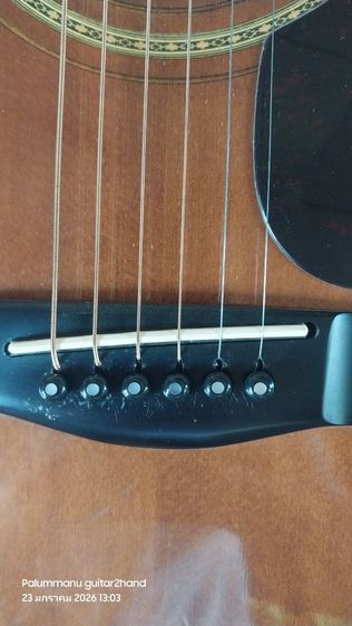Yamaha L-10ES
กีตาร์โปร่งไฟฟ้า
ผลิตญี่ปุ่นปี 1981  รูปที่ 9