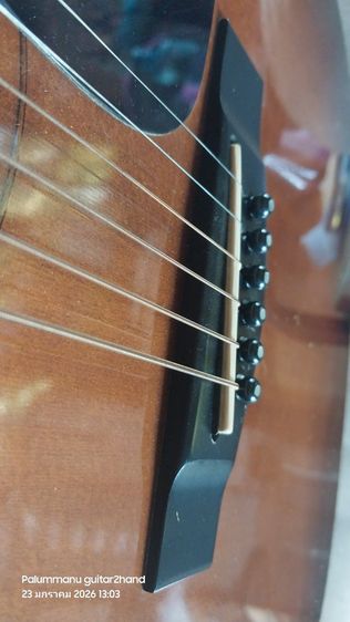 Yamaha L-10ES
กีตาร์โปร่งไฟฟ้า
ผลิตญี่ปุ่นปี 1981  รูปที่ 10