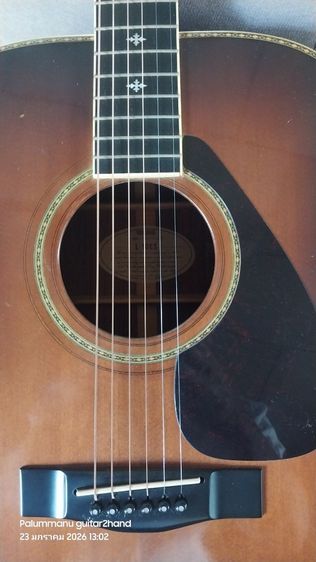 Yamaha L-10ES
กีตาร์โปร่งไฟฟ้า
ผลิตญี่ปุ่นปี 1981  รูปที่ 6