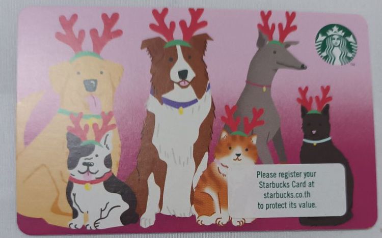 บัตรเติมเงิน starbucks ราคา 770 บาท บัตรมูลค่า 800 บาท