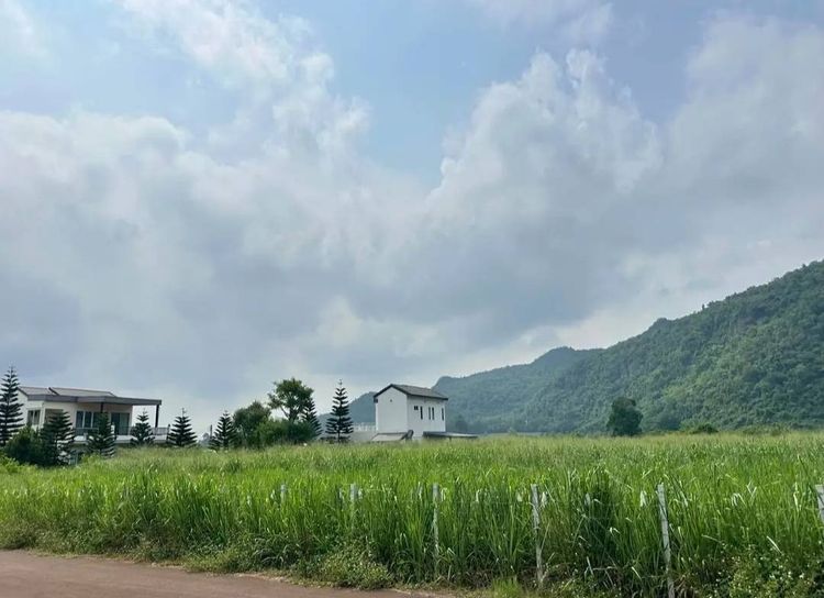 ขายที่ดินเขาวง หนองน้ำแดง เขาใหญ่ ปากช่อง 1.5ไร่ วิวเขาสวยมาก ถนนลาดยางสาธารณะ เดินทางสะดวก ใกล้ธนะรัชต์ มอเตอร์เวย์M6 ที่สูง ภูเขาล้อมรอบ ไ รูปที่ 4