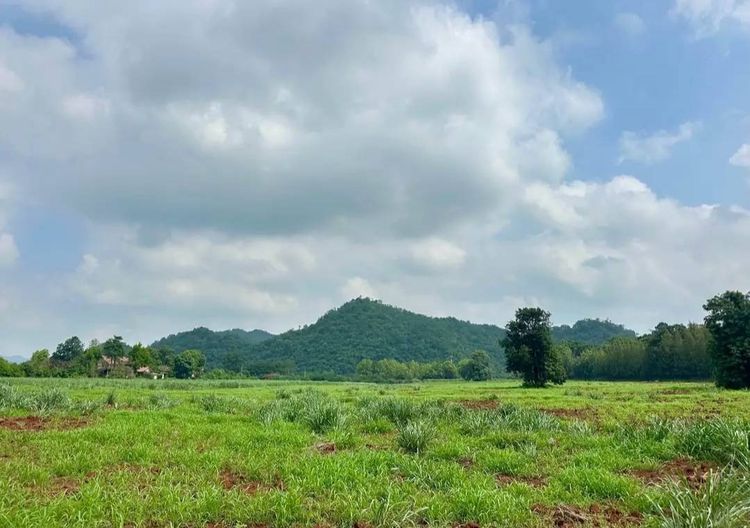 ขายที่ดินเขาวง หนองน้ำแดง เขาใหญ่ ปากช่อง 1.5ไร่ วิวเขาสวยมาก ถนนลาดยางสาธารณะ เดินทางสะดวก ใกล้ธนะรัชต์ มอเตอร์เวย์M6 ที่สูง ภูเขาล้อมรอบ ไ รูปที่ 3