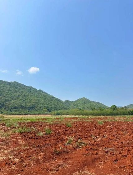 ขายที่ดินเขาวง หนองน้ำแดง เขาใหญ่ ปากช่อง 1.5ไร่ วิวเขาสวยมาก ถนนลาดยางสาธารณะ เดินทางสะดวก ใกล้ธนะรัชต์ มอเตอร์เวย์M6 ที่สูง ภูเขาล้อมรอบ ไ รูปที่ 2