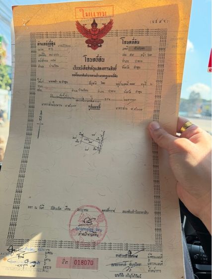 ขายที่ดินสวนลำไยจังหวัดลำพูนป่าซางขายถูกมากๆ