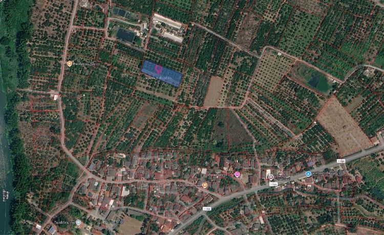 ขายที่ดินสวนลำไยจังหวัดลำพูนป่าซางขายถูกมากๆ รูปที่ 2