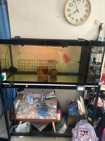 ตู้ปลา48“พร้อมอุปกรณ์พร้อมปลาและอุปกรณ์เลี้ยงทั้งหมด