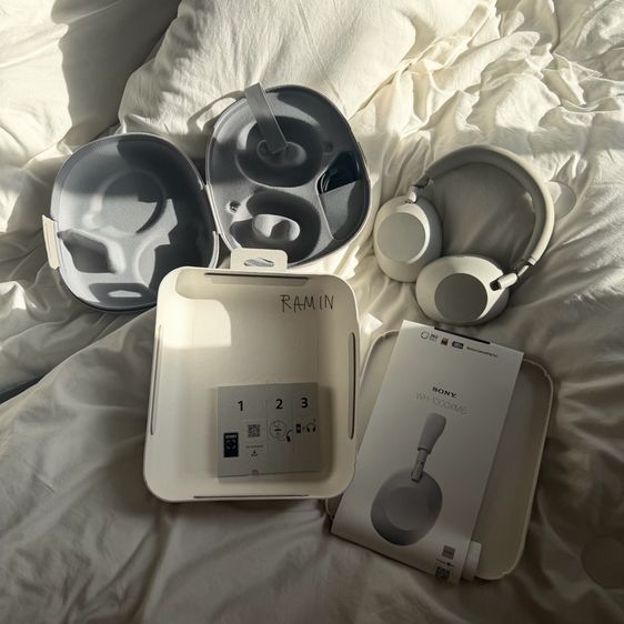 Sony WH-100XM6