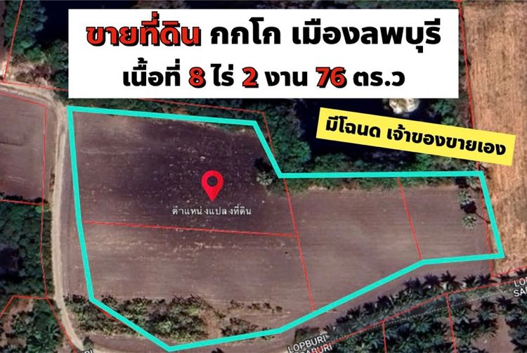 ใช่ ขายด่วน ที่ดินผืนสวย 8 ไร่ 2 งาน 76 ตร.ว. ต.กกโก เมืองลพบุรี (เจ้าของขายเอง)