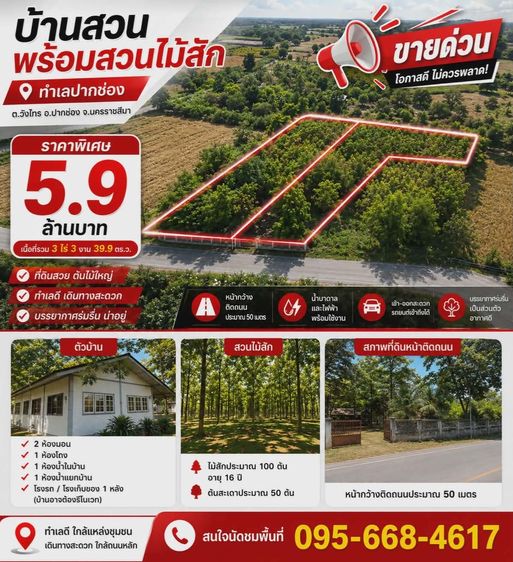 ขายบ้านสวนพร้อมสวนไม้สัก ทำเลปากช่อง บรรยากาศร่มรื่น ห่างจากถนนมิตรภาพประมาณ 8 กม. ห่างจากปั๊ม ร้านสะดวกซื้อ CJ top เซเว่น โลตัส 4 กม. รูปที่ 2