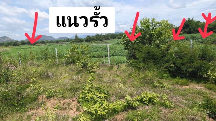 🌹ขายที่ดินเปล่าติดแม้น้ำป่าสัก(ลพรี)🌹