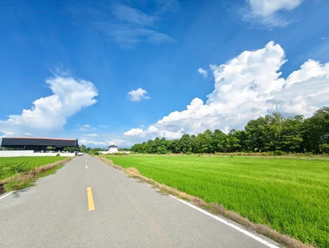 ไม่ใช่ ที่ดินติดลาดยาง 8 เมตร 100 ตรว. 690,000
คลอง 5 คลองหลวง ซอยครูห่วง

 รูปที่ 3
