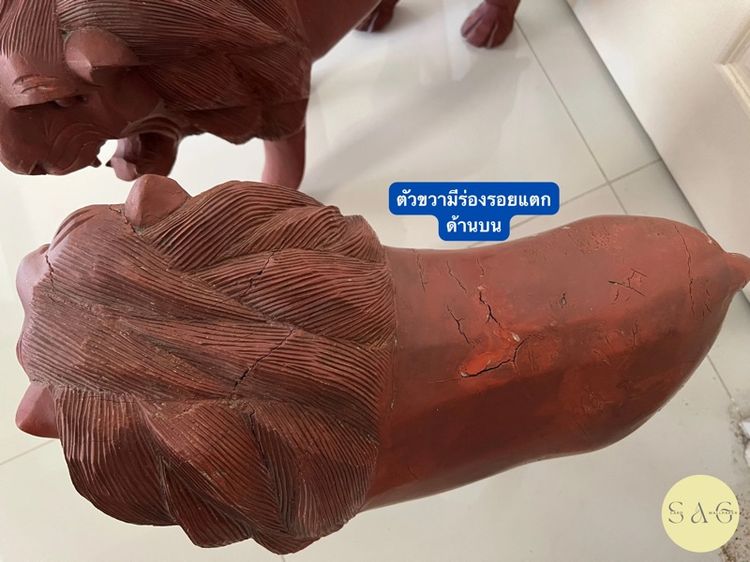 สิงโตไม้ คู่ซ้ายขวา อายุ30ปี เสริมฮวงจุ้ย รูปที่ 5
