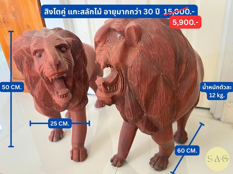 สิงโตไม้ คู่ซ้ายขวา อายุ30ปี เสริมฮวงจุ้ย รูปที่ 2