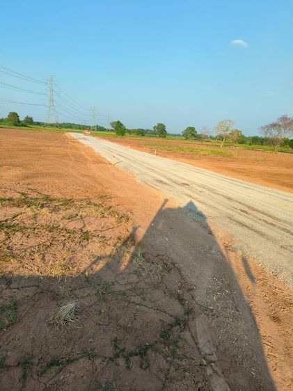 ขายที่ดิน 1 ไร่ ภาชี อยุธยา ถมแล้ว 550,000 รูปที่ 2
