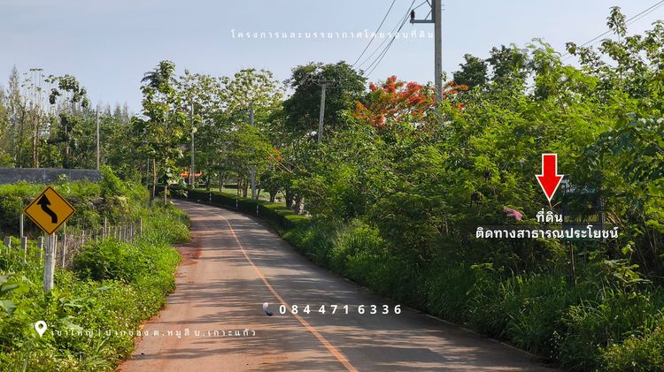 เขาใหญ่ ปากช่อง โซนหมูสี ด้านหลังติดเขา ใกล้ MADAME VALLEY-มาดามแป้ง 4-3-69 ไร่ ราคา 3.5 ล้านต่อไร่ รูปที่ 3