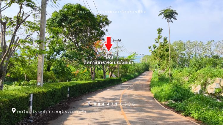 เขาใหญ่ ปากช่อง โซนหมูสี ด้านหลังติดเขา ใกล้ MADAME VALLEY-มาดามแป้ง 4-3-69 ไร่ ราคา 3.5 ล้านต่อไร่ รูปที่ 2