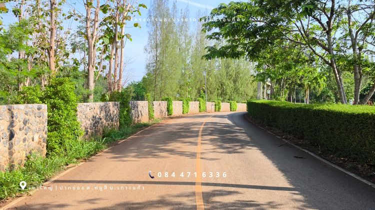 เขาใหญ่ ปากช่อง โซนหมูสี ด้านหลังติดเขา ใกล้ MADAME VALLEY-มาดามแป้ง 4-3-69 ไร่ ราคา 3.5 ล้านต่อไร่ รูปที่ 4