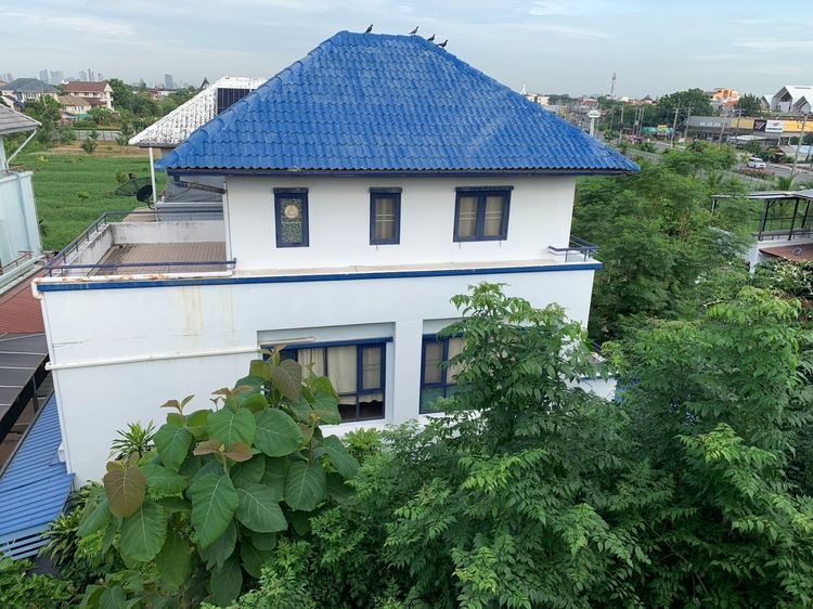 มีบางส่วน ขาย ให้เช่า บ้านเดี่ยว 3 ชั้น 53 ตรว. หมู่บ้านพิมาน เฉลิมพระเกียรติ ร.9 ซอย 28 ใกล้สวนหลวง ร.9 รูปที่ 2