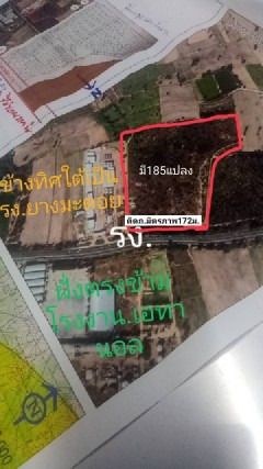 ขายที่ดิน 43 ไร่ ติดถนนมิตรภาพ บ้านไผ่ขอนแก่น ที่ดินจัดสรรแบ่งแปลงพร้อมขาย ขายยกโครงการ ขายถูกมาก รูปที่ 3