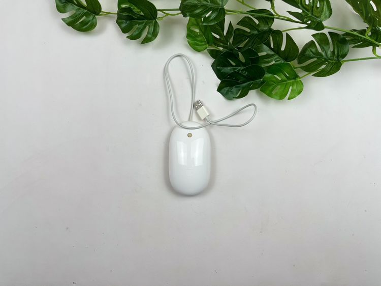 Genuine Apple USB Wired Optical Mouse, used