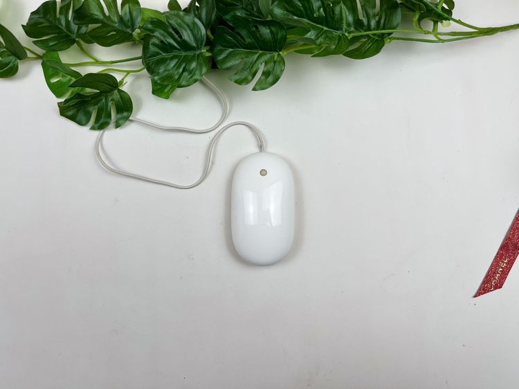 Genuine Apple USB Wired Optical Mouse, used