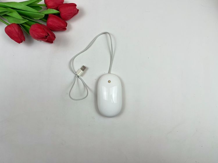 Genuine Apple USB Wired Optical Mouse, used
